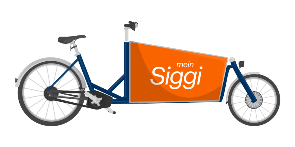 icon_biketype_cargo_e_BONN Kopie